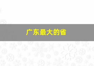 广东最大的省