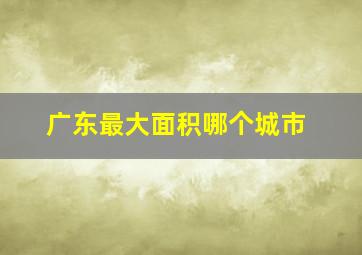 广东最大面积哪个城市