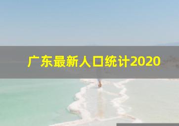 广东最新人口统计2020