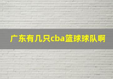 广东有几只cba篮球球队啊