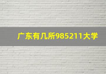 广东有几所985211大学