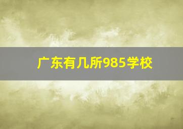 广东有几所985学校