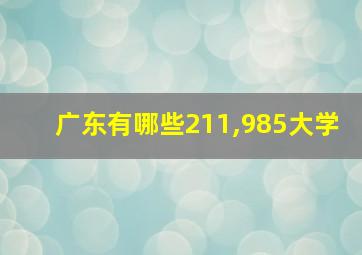 广东有哪些211,985大学