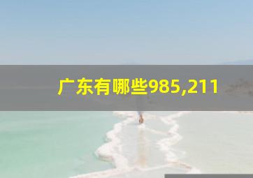 广东有哪些985,211