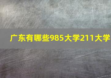 广东有哪些985大学211大学