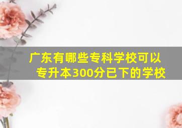 广东有哪些专科学校可以专升本300分已下的学校