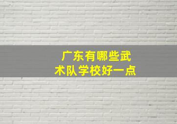 广东有哪些武术队学校好一点