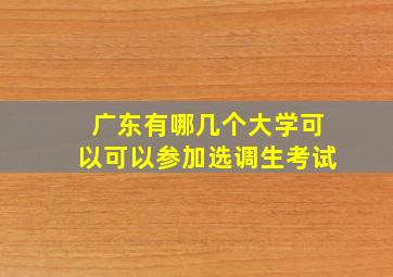 广东有哪几个大学可以可以参加选调生考试