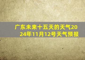 广东未来十五天的天气2024年11月12号天气预报