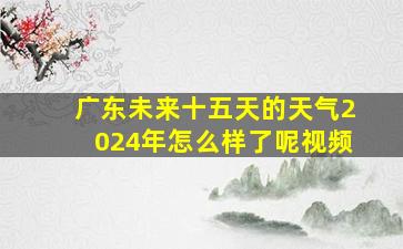 广东未来十五天的天气2024年怎么样了呢视频