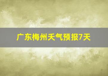 广东梅州夭气预报7天