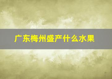 广东梅州盛产什么水果