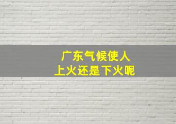 广东气候使人上火还是下火呢