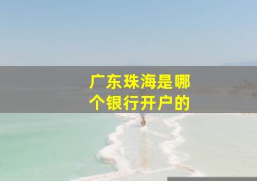 广东珠海是哪个银行开户的