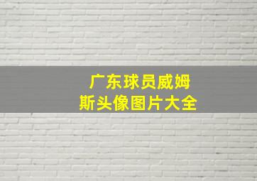 广东球员威姆斯头像图片大全