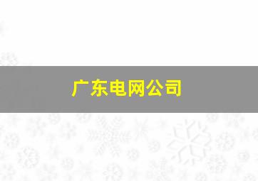 广东电网公司