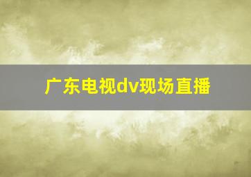 广东电视dv现场直播