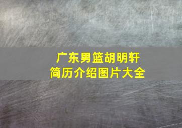 广东男篮胡明轩简历介绍图片大全