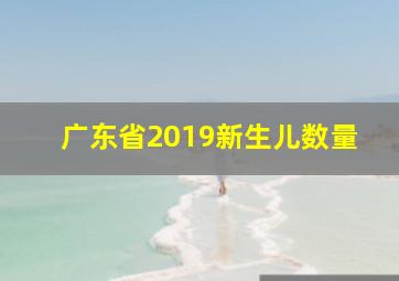 广东省2019新生儿数量