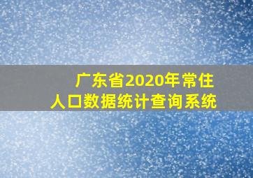 广东省2020年常住人口数据统计查询系统