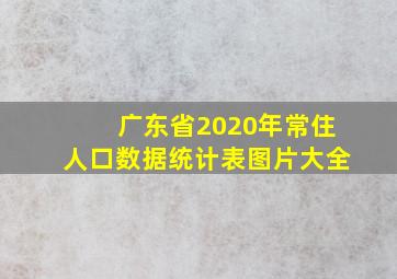 广东省2020年常住人口数据统计表图片大全