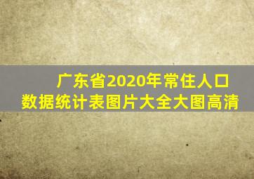 广东省2020年常住人口数据统计表图片大全大图高清