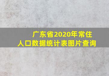 广东省2020年常住人口数据统计表图片查询