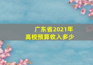 广东省2021年高校预算收入多少