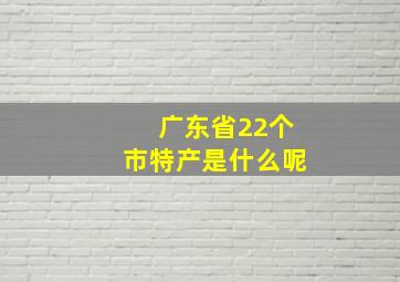 广东省22个市特产是什么呢