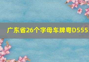 广东省26个字母车牌粤D5555