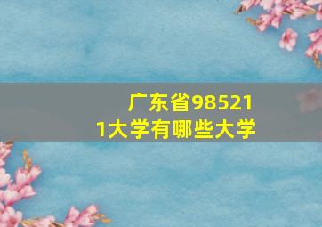 广东省985211大学有哪些大学