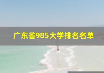 广东省985大学排名名单