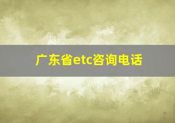 广东省etc咨询电话