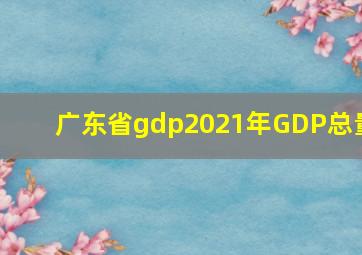 广东省gdp2021年GDP总量