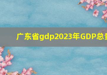 广东省gdp2023年GDP总量