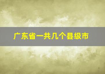 广东省一共几个县级市