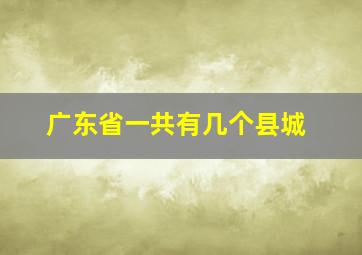 广东省一共有几个县城