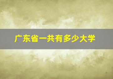 广东省一共有多少大学