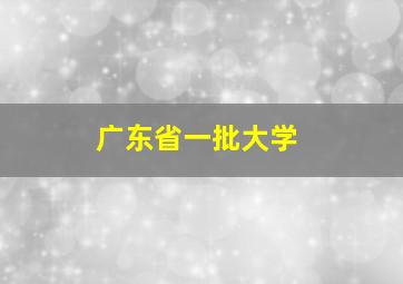 广东省一批大学