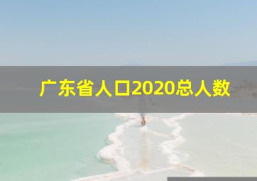 广东省人口2020总人数