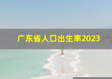 广东省人口出生率2023