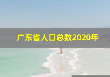 广东省人口总数2020年