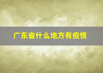 广东省什么地方有疫情