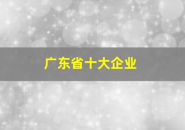 广东省十大企业