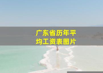 广东省历年平均工资表图片