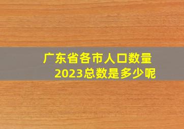 广东省各市人口数量2023总数是多少呢