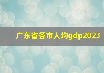 广东省各市人均gdp2023