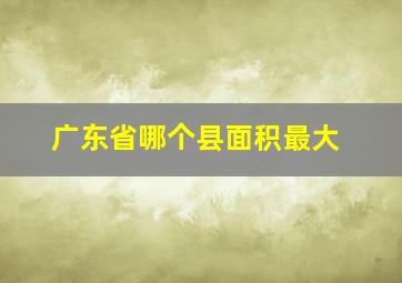 广东省哪个县面积最大