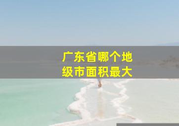 广东省哪个地级市面积最大