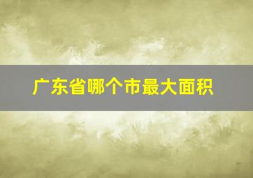 广东省哪个市最大面积